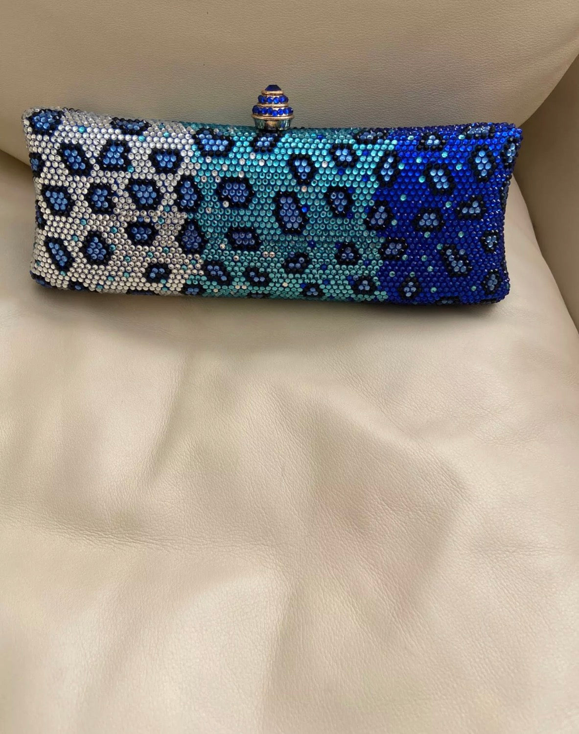 Trendy Evening  purse
